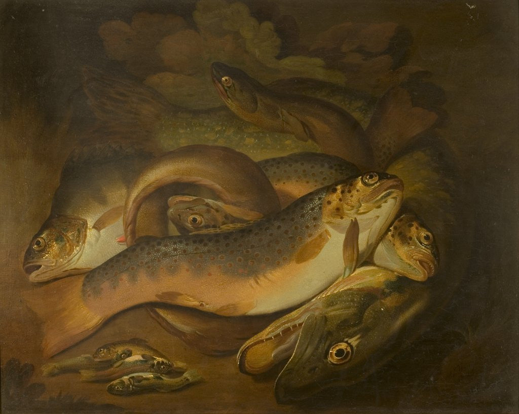 Detail of Fishes by Moses Haughton