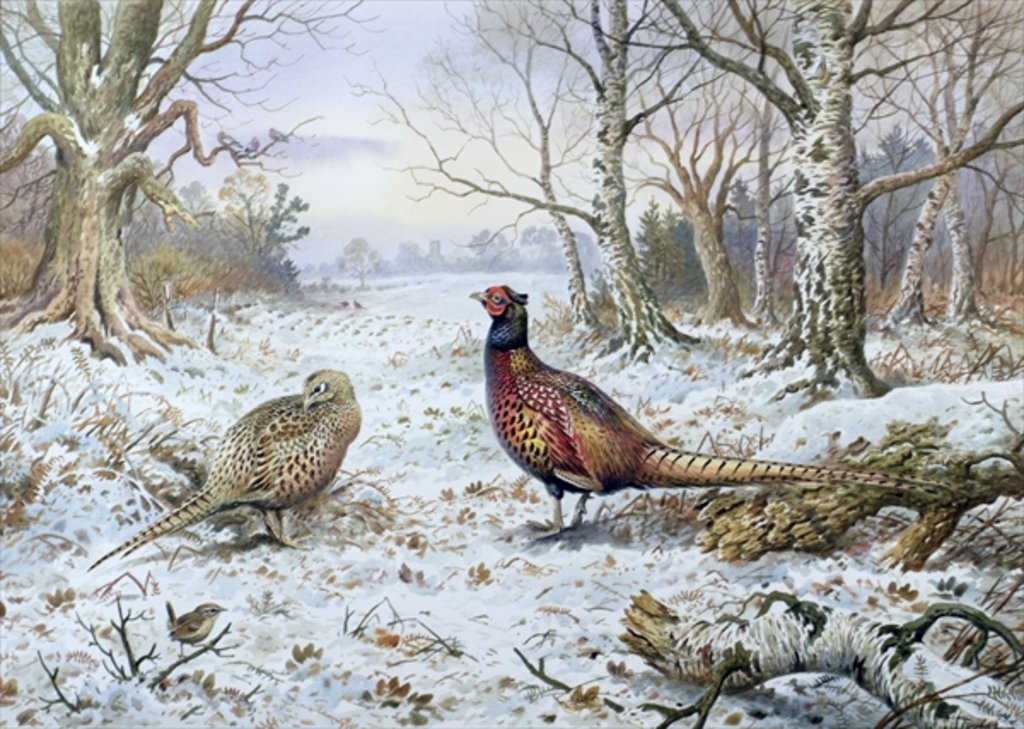 Detail of Pair of Pheasants with a Wren by Carl Donner