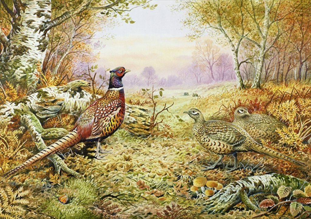 Detail of Pheasants in Woodland by Carl Donner