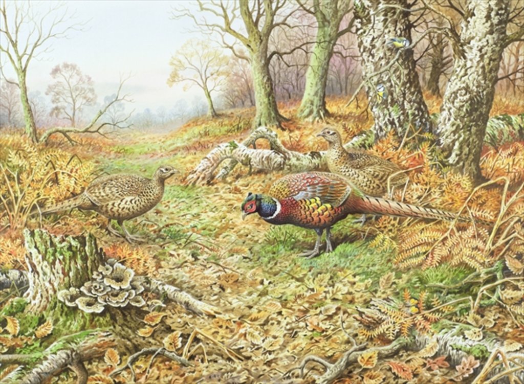 Detail of Pheasants with Blue Tits by Carl Donner