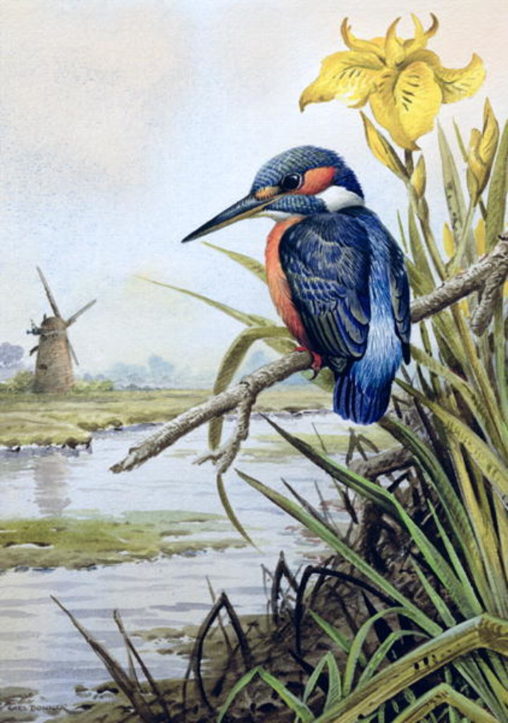 Detail of Kingfisher with Flag Iris and Windmill by Carl Donner