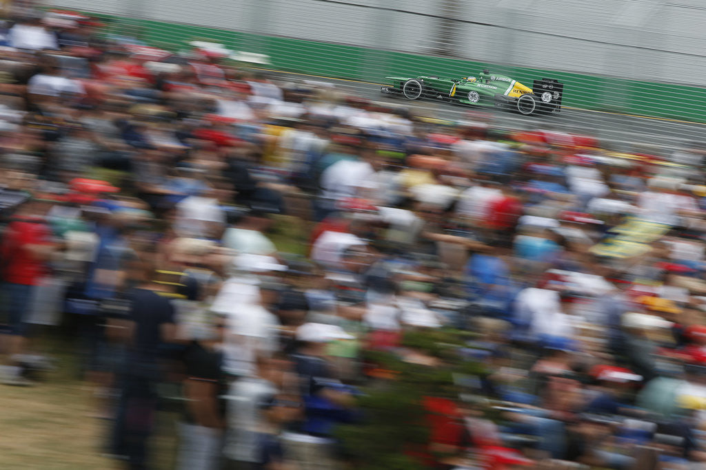 Detail of Crowd pleaser, Charles Pic, Australia by Andrew Ferraro