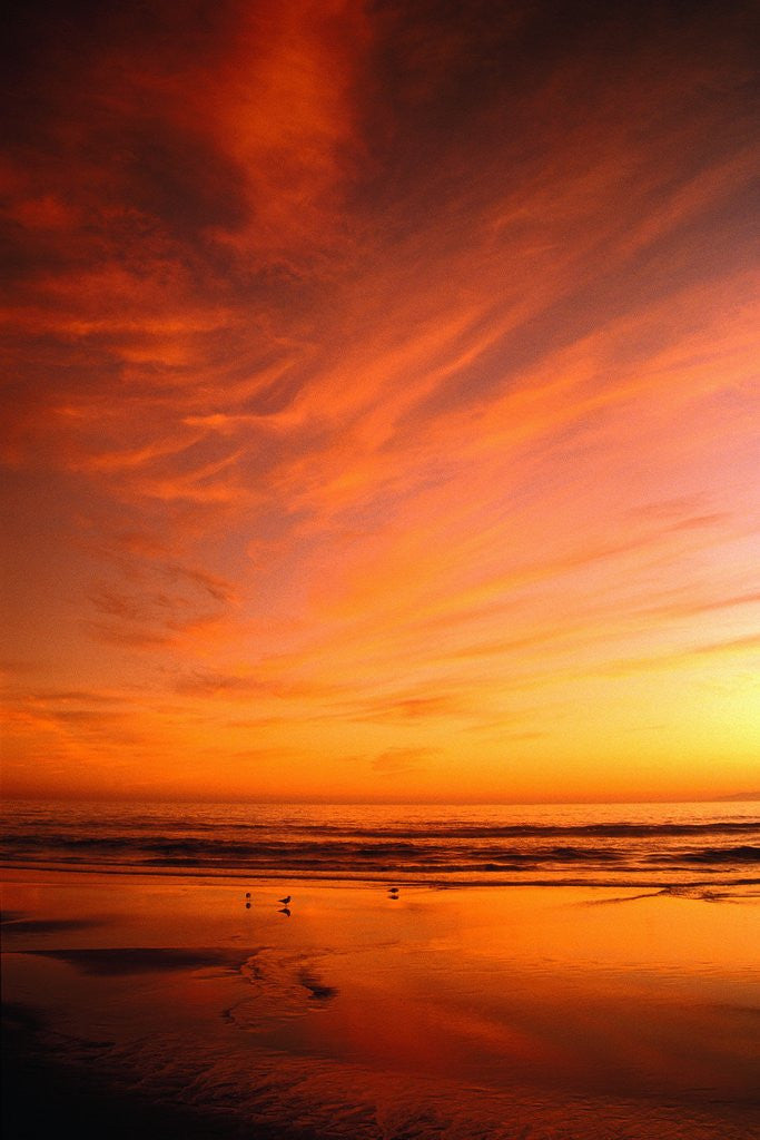Detail of Southern California Sunset at Beach by Anonymous