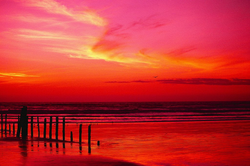 Detail of Surf Rolling onto Beach at Sunset by Anonymous