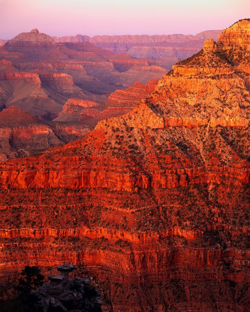 Detail of Grand Canyon by Anonymous