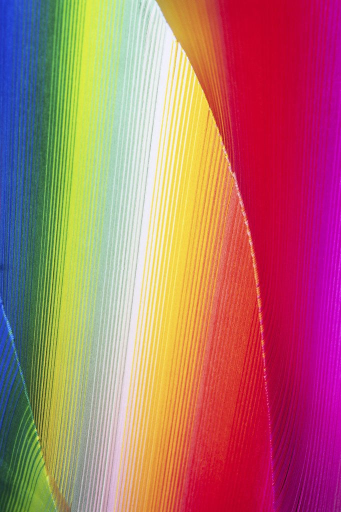 Detail of Colors by Anonymous