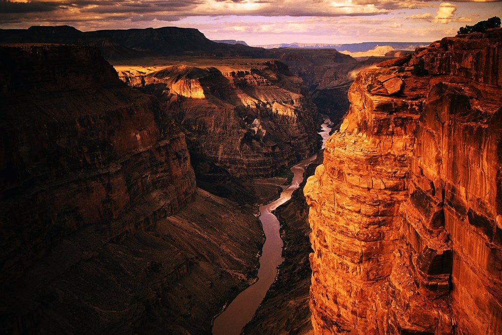 Detail of Colorado River by Anonymous