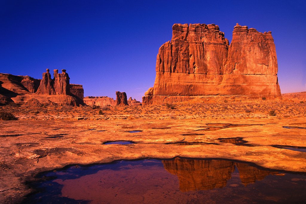 Detail of Desert Lake Bed by Anonymous