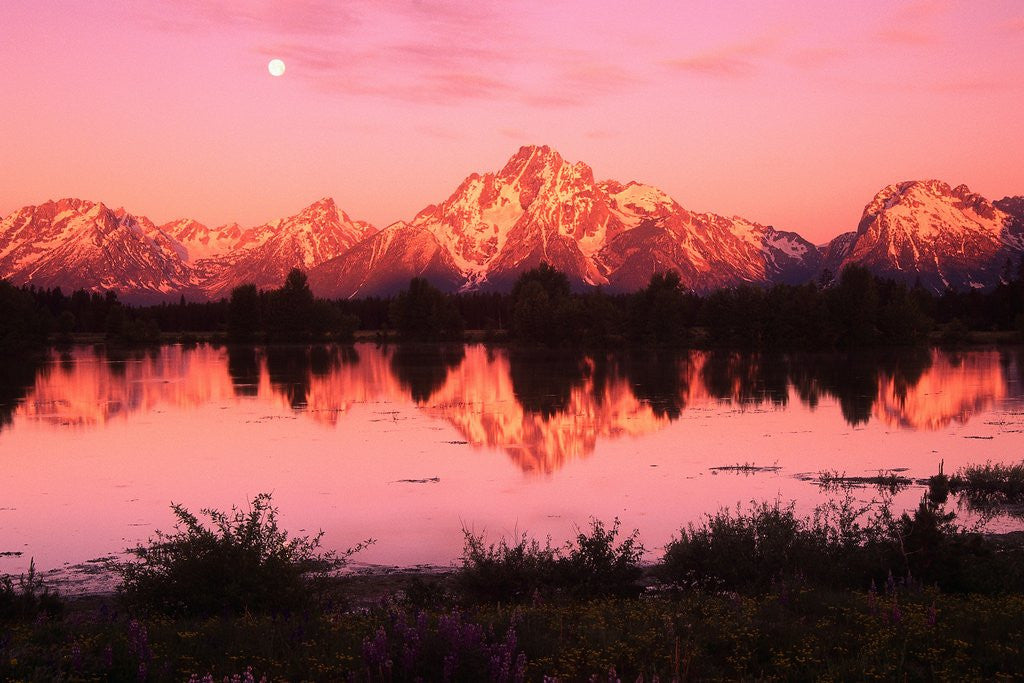 Detail of Mount Moran at Dusk by Anonymous