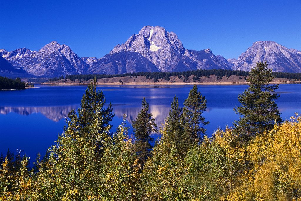 Detail of Mount Moran and Jackson Lake by Anonymous