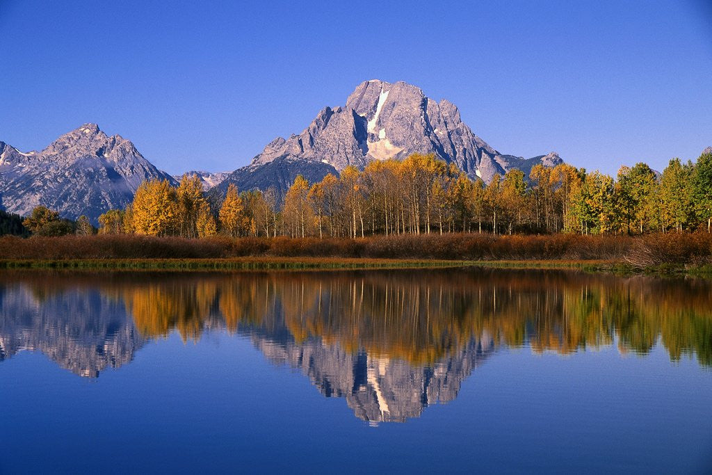 Detail of Mount Moran by Anonymous