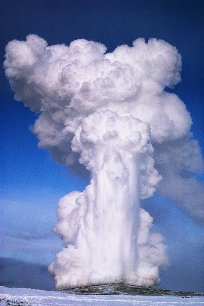 Detail of Old Faithful by Anonymous