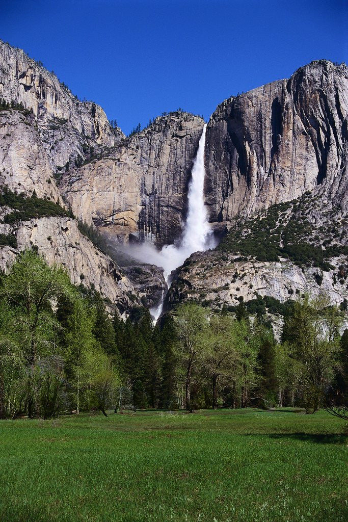 Detail of Yosemite Falls by Anonymous