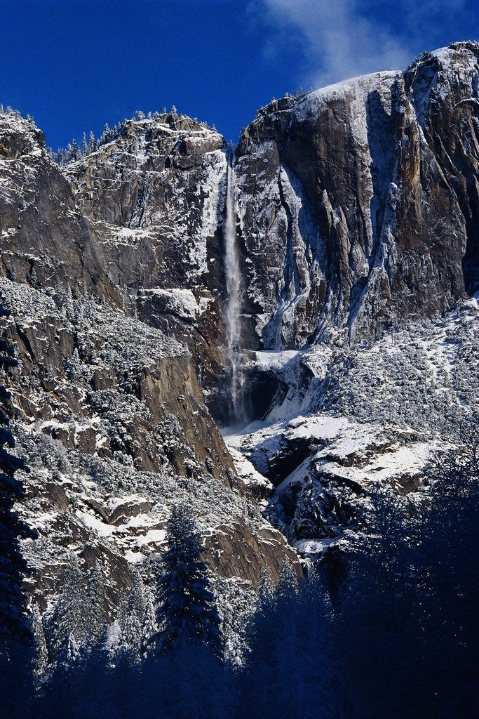 Detail of Yosemite Falls, Winter by Anonymous