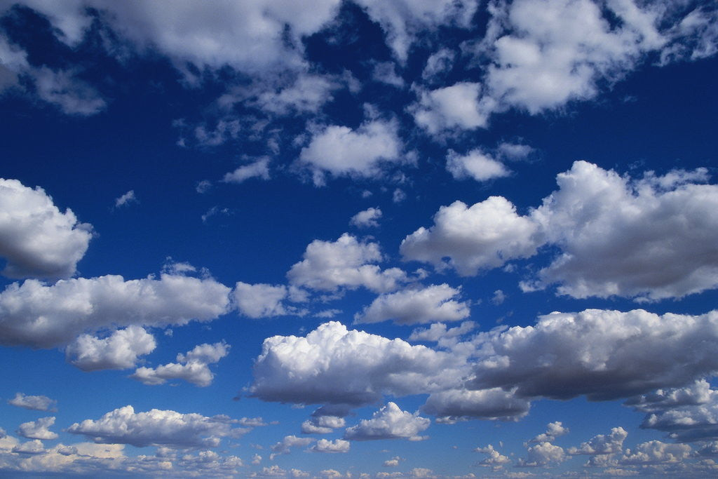 Detail of Puffy White Clouds in a Blue Sky by Anonymous