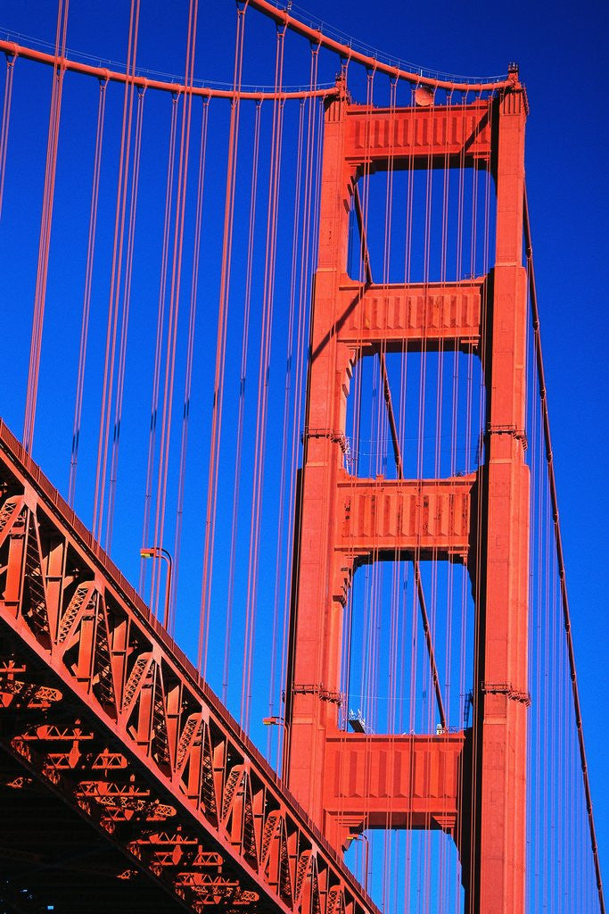 Detail of Tower of Golden Gate Bridge by Anonymous