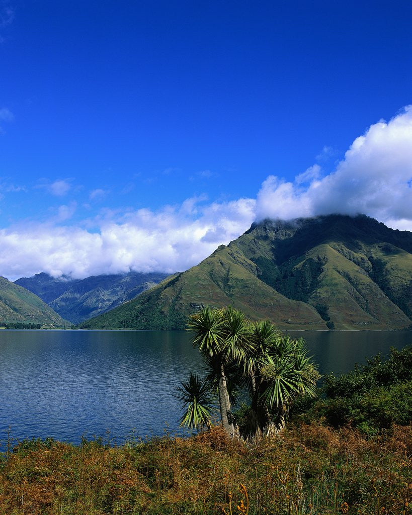 Detail of Lake Wakatipu and Mount Hector by Anonymous