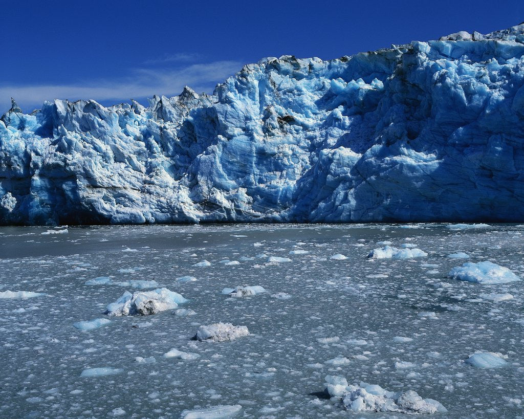 Detail of Margerie Glacier by Anonymous