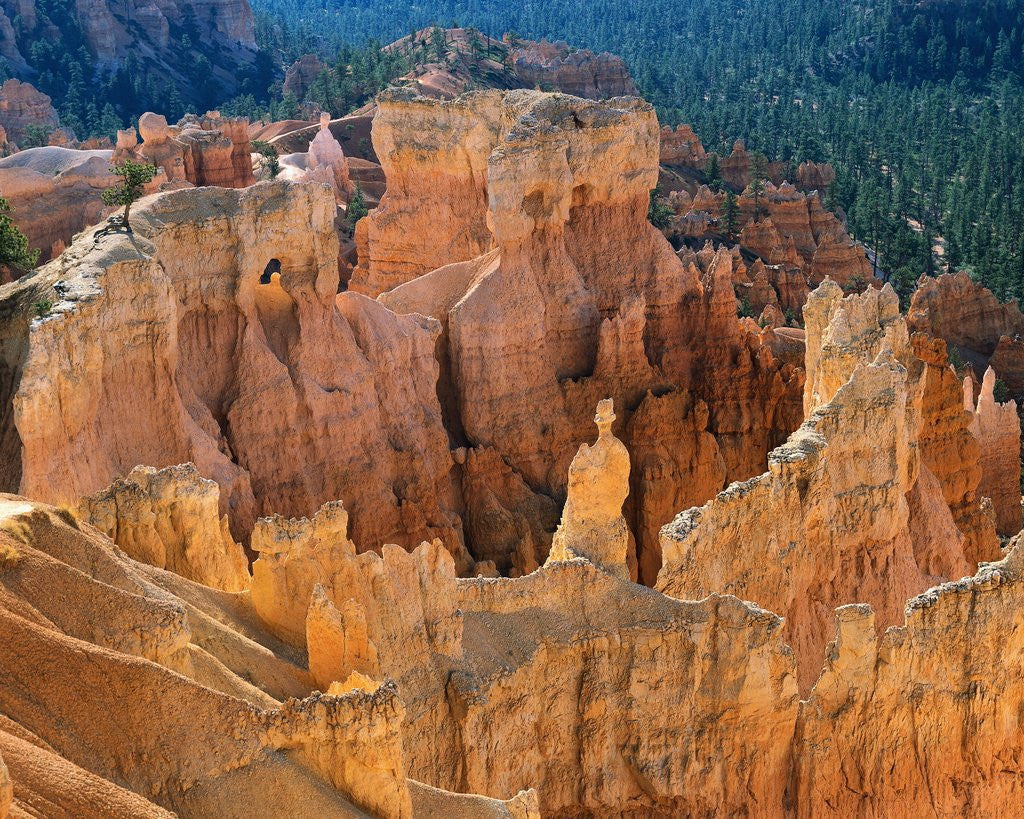 Detail of Bryce Canyon from Inspiration Point by Anonymous