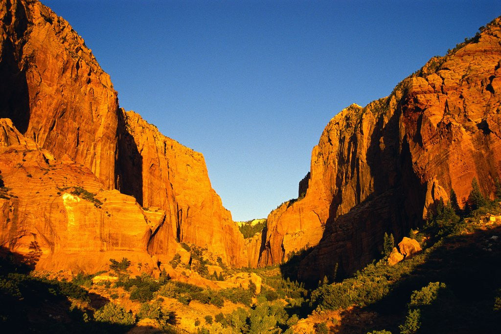Detail of Kolob Canyon by Anonymous