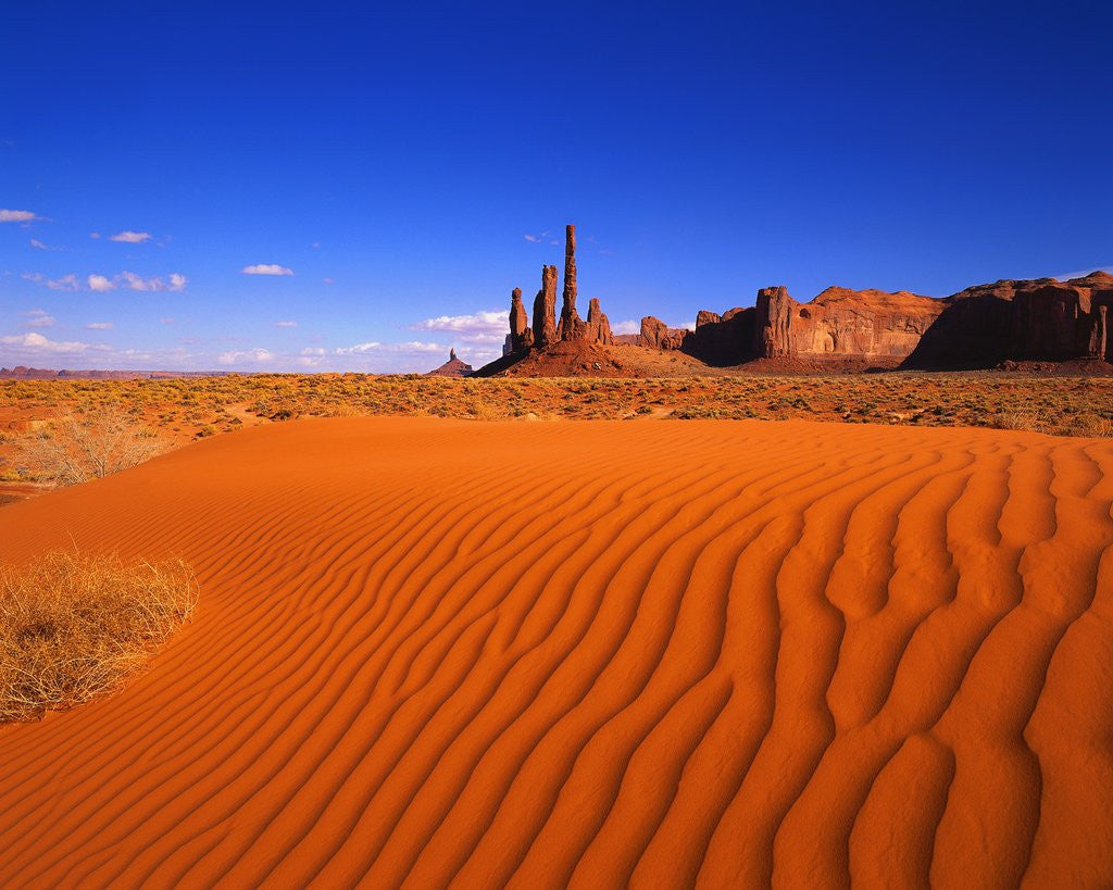 Detail of Sandy Landscape in Monument Valley by Anonymous