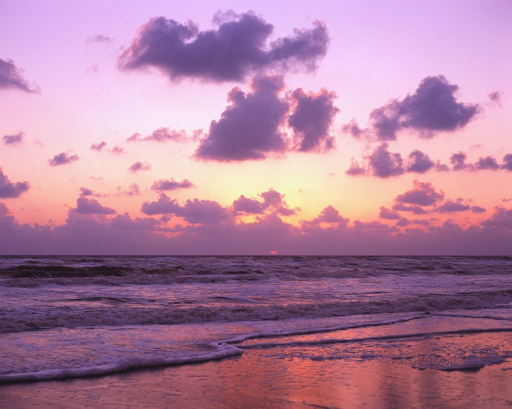Detail of Beach at Twilight by Anonymous