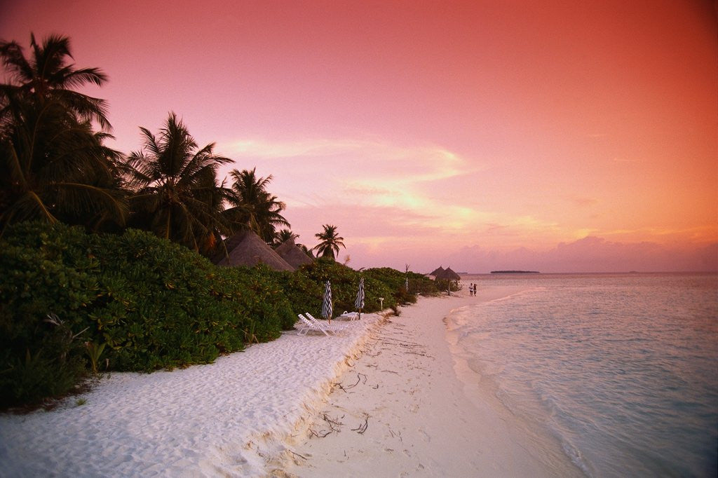 Detail of Tropical Beach at Sunset by Anonymous