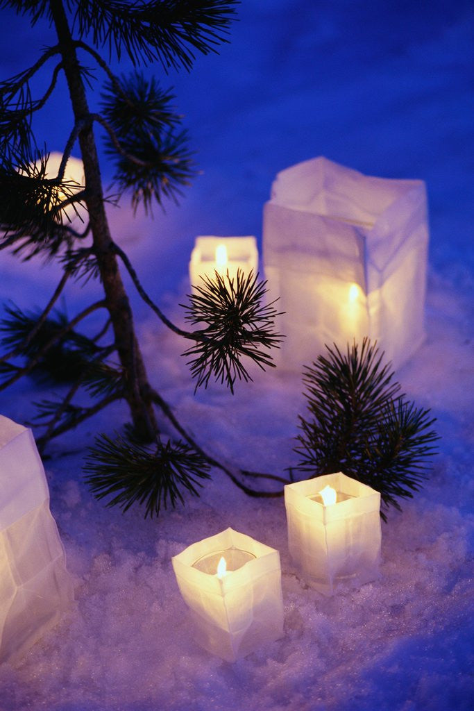 Detail of Candles Sitting on Snow by Tree by Anonymous