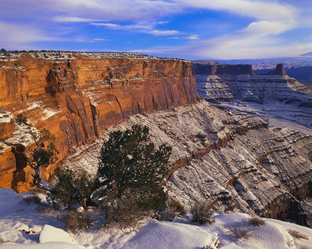 Detail of Snowy Canyon from Dead Horse Point by Anonymous