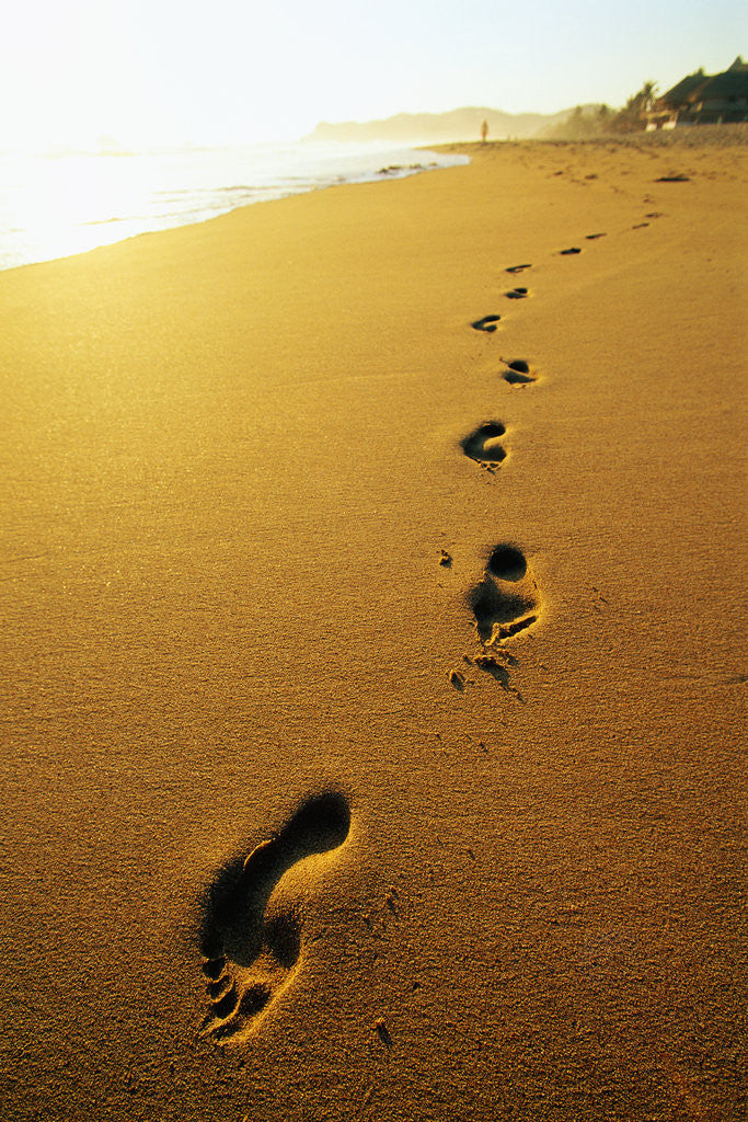 Footprints Along Beach by Corbis