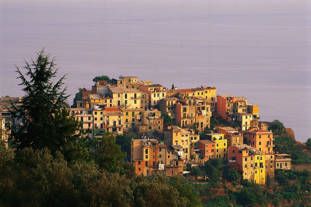 Detail of Village of Corniglia on the Italian Riviera by Anonymous