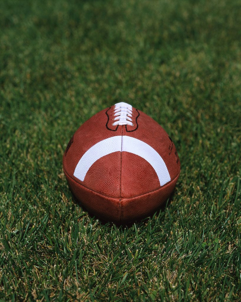 Detail of Football on the Grass by Anonymous
