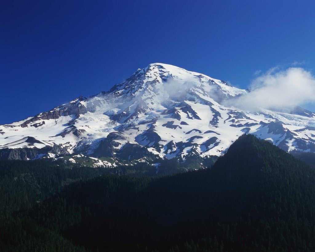 Detail of Mount Shasta by Anonymous