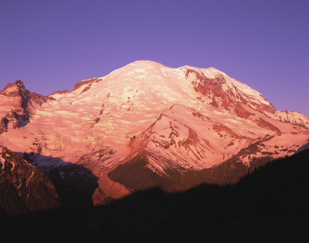 Detail of Snowcapped Mount Rainier with Twilight Glow by Anonymous