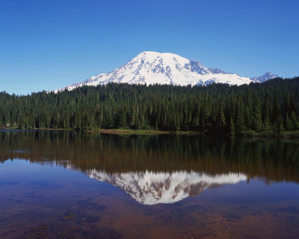 Detail of Lake Reflecting Mount Rainier by Anonymous