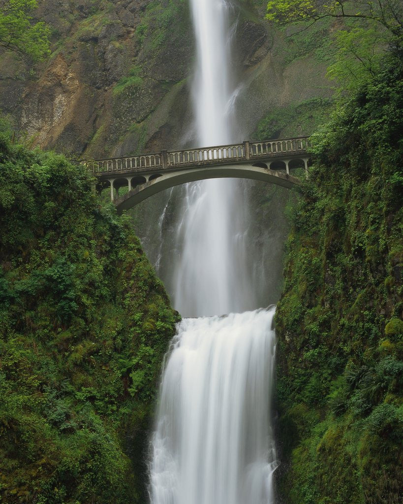 Detail of Multnomah Falls by Anonymous