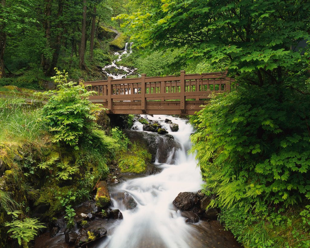 Detail of Bridge over Waterfall by Anonymous