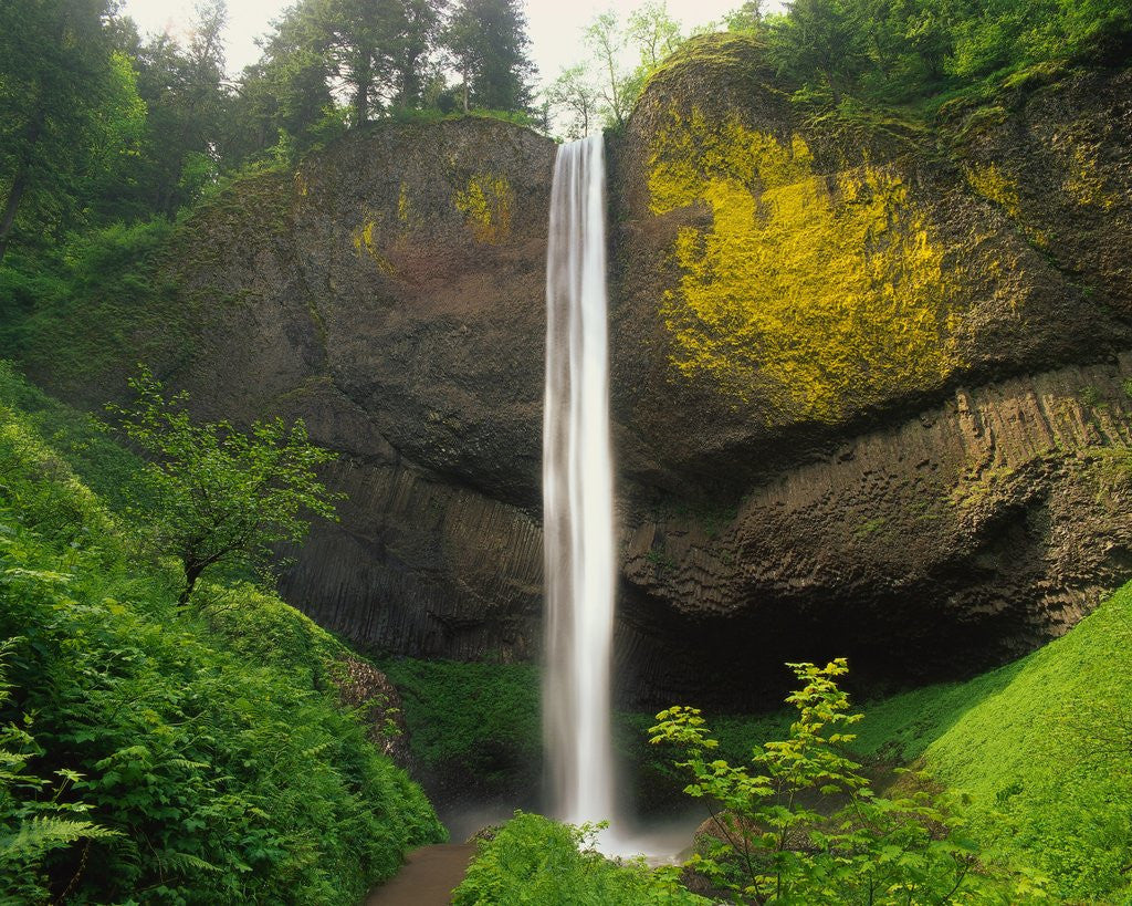 Detail of Latourell Falls by Anonymous