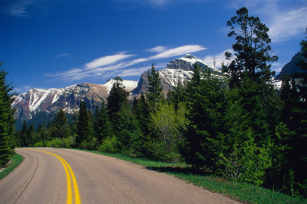 Detail of Road Through Glacier National Park by Anonymous