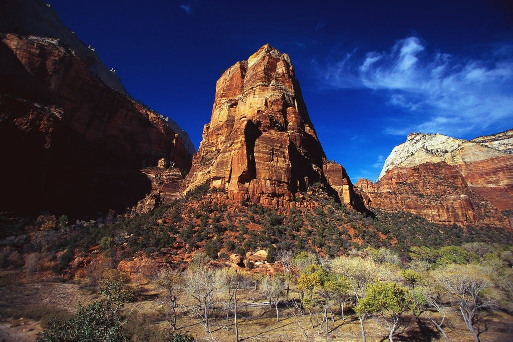 Detail of Butte in Zion National Park by Anonymous