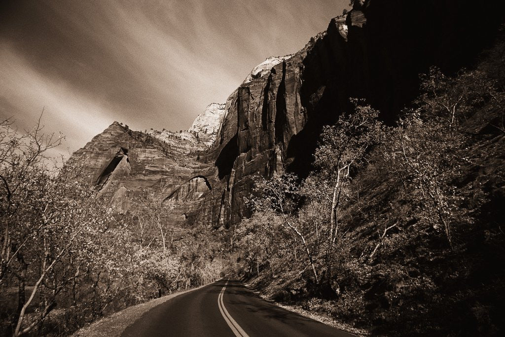 Detail of A Road in Zion National Park by Anonymous