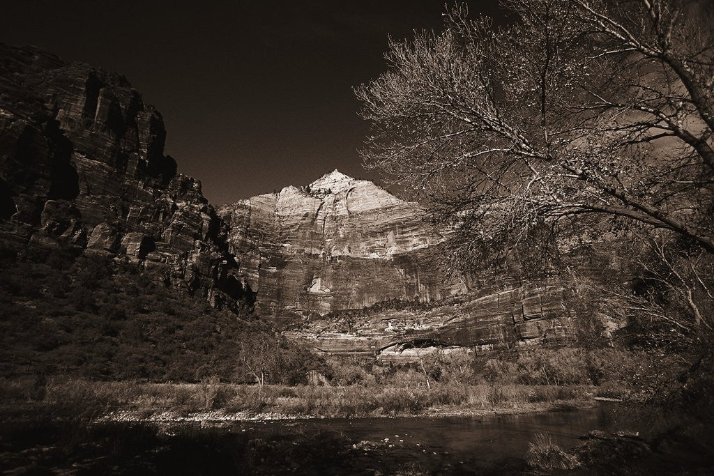 Detail of Mountains and Tree from Valley Floor by Anonymous