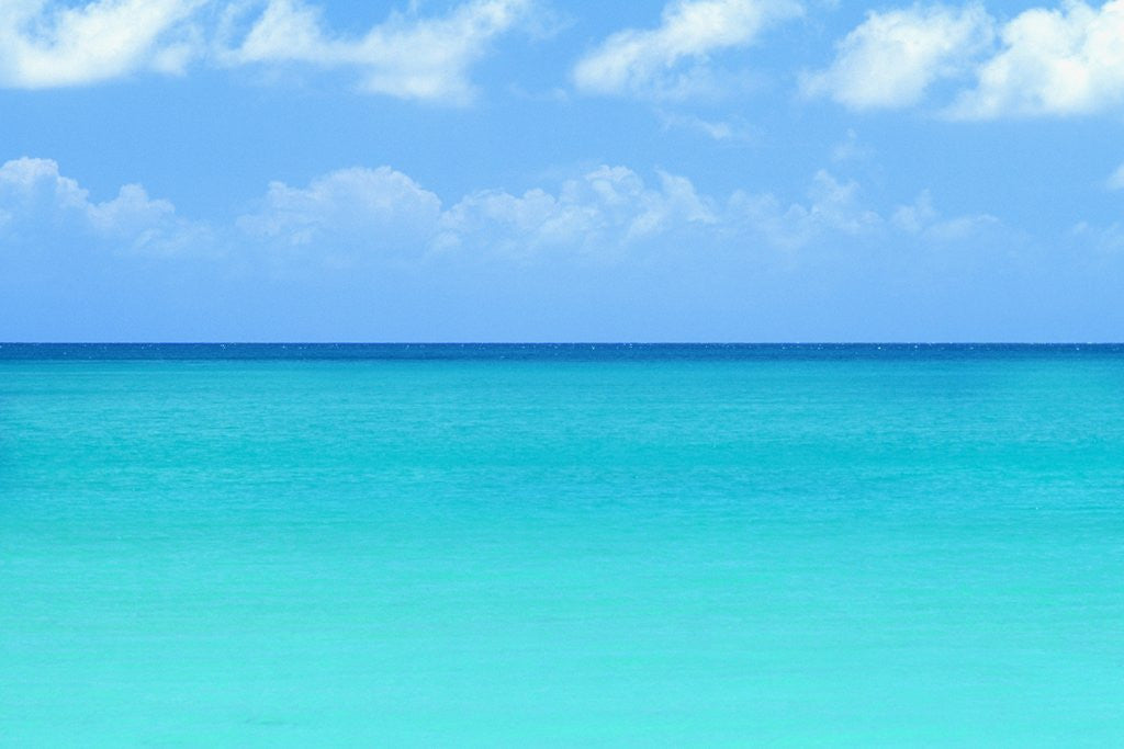 Detail of Blue-green Water of the Caribbean Sea by Anonymous
