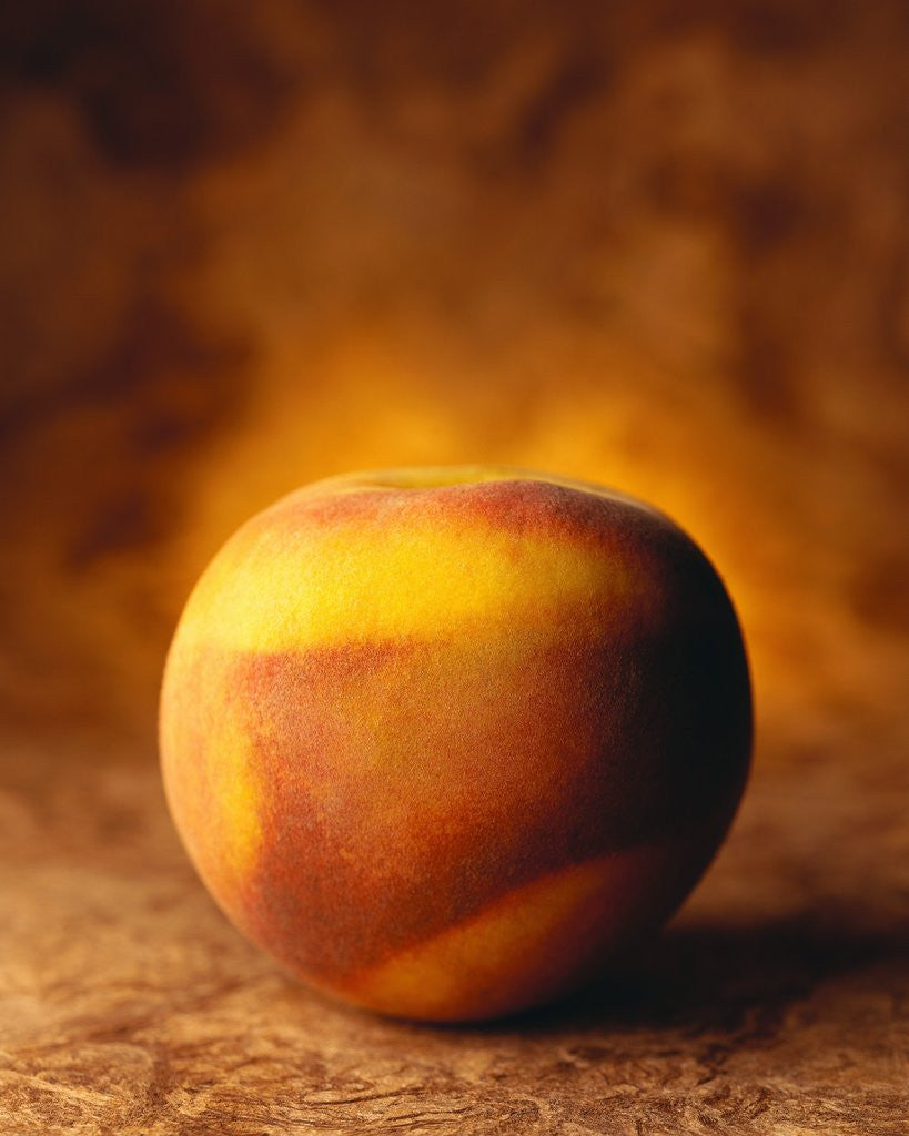 Detail of Nectarine by Anonymous
