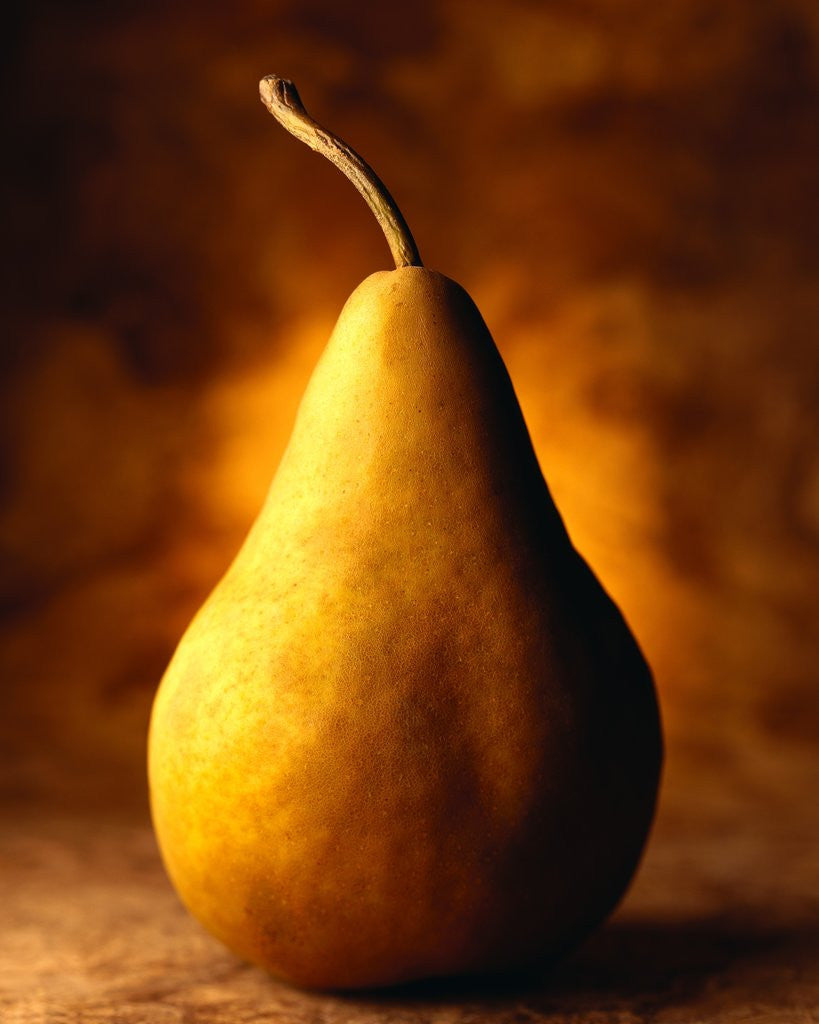 Detail of Bartlett Pear by Corbis