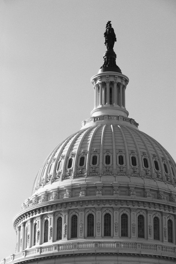 Detail of Dome of U.S. Capitol by Anonymous