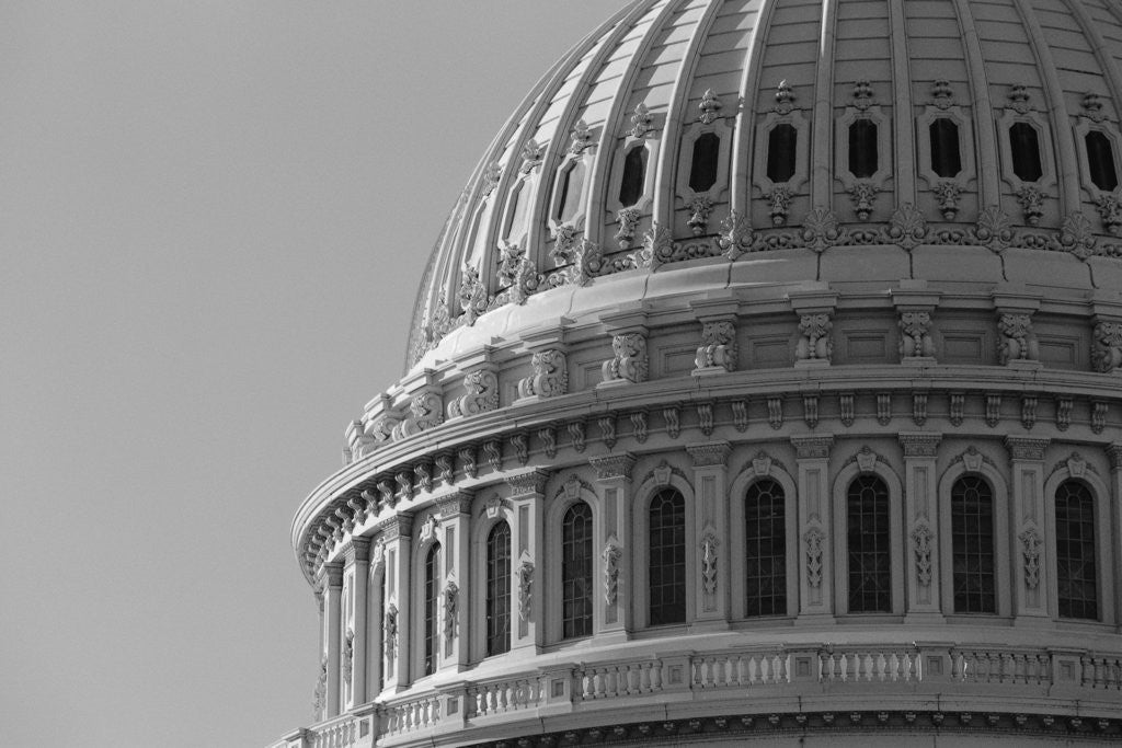Detail of U.S. Capitol Dome by Anonymous