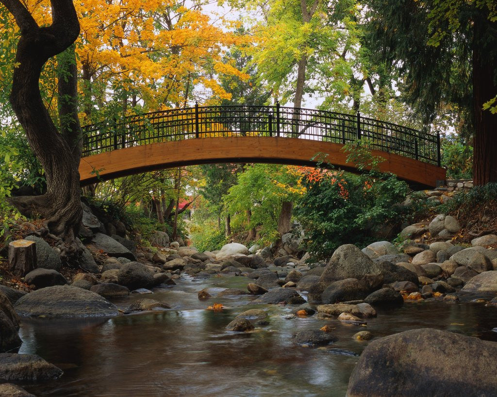 Detail of Footbridge over Stream by Anonymous