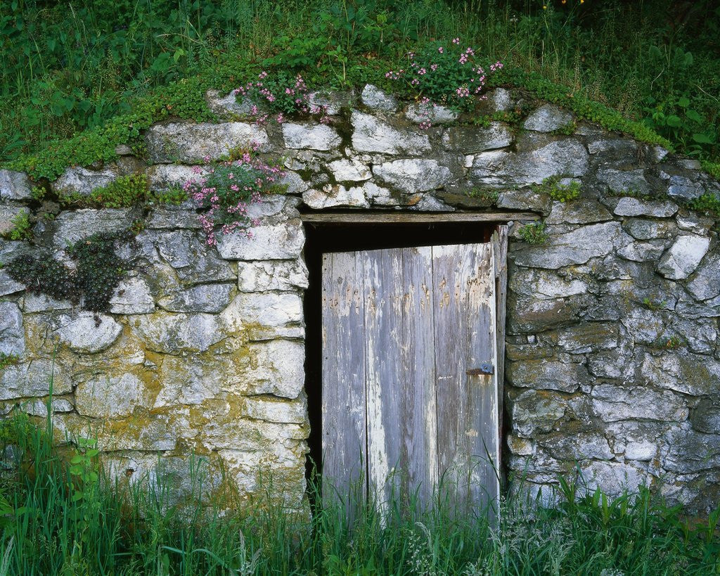 Detail of Door to Underground Root Cellar by Anonymous