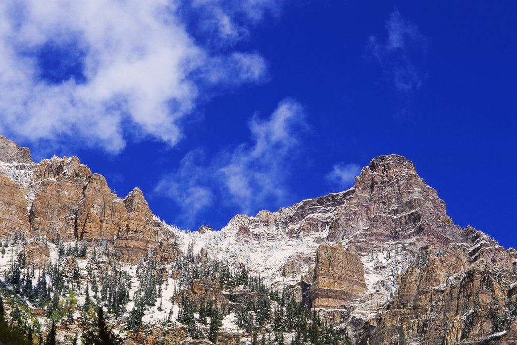 Detail of Fresh Snow on Mountain Peaks by Anonymous